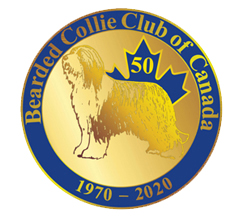 BCCC 50th Anniversar logo